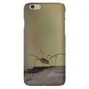 Trolsk - Spindel 2 (iPhone 6)