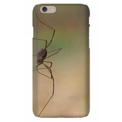 Trolsk - Spindel (iPhone 6)