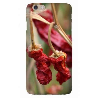 Trolsk - Vissen chili (iPhone 6)