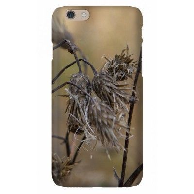 Trolsk - Vissna tistlar (iPhone 6)