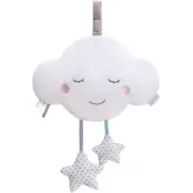 Candide Cloudy Speldosa med Bluetooth