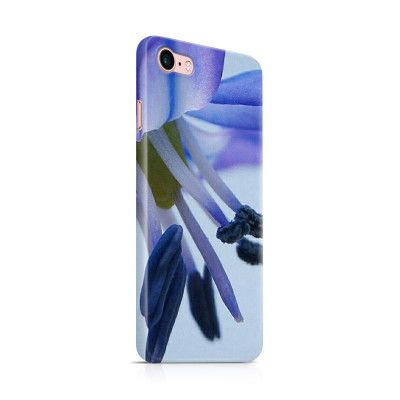 Skal till Apple iPhone 7 - Blåstjärna