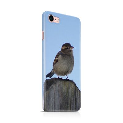 Skal till Apple iPhone 7 - Gråsparv