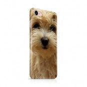 Skal till Apple iPhone 7 - Terrier