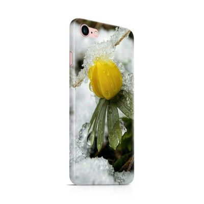 Skal till Apple iPhone 7 - Vinterblomma