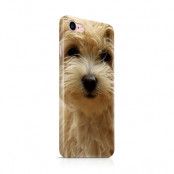 Skal till Apple iPhone 7/8 - Terrier