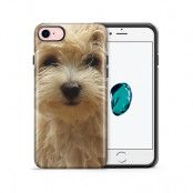 Tough mobilskal till Apple iPhone 7/8 - Terrier