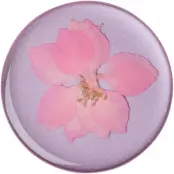 PopSockets PopGrip Pressed Flower Premium - Larkspur