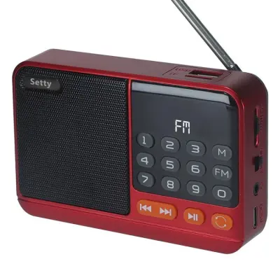 Setty Mini FM Radio med Bluetooth Högtalare SFM-01M