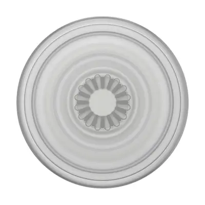POPSOCKETS PopGrip Plant - Faded Stone
