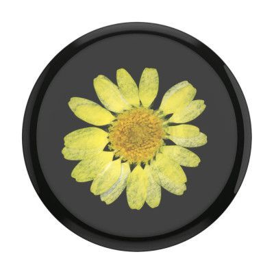 POPSOCKETS Pressed Flower Yellow Daisy Avtagbart Grip