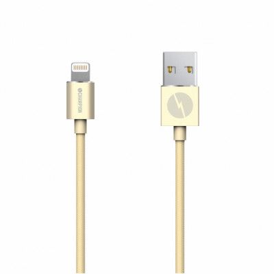 Champion Lightning kabel 2m - Gold