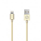 Champion Lightning kabel, 2m, guld