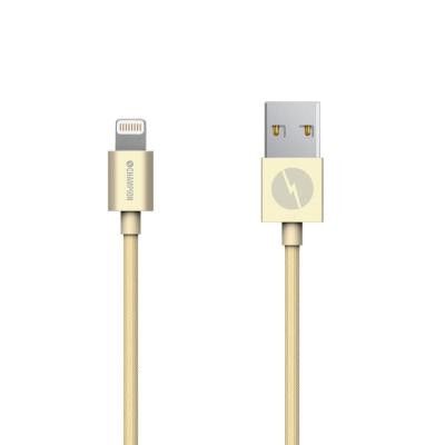 Champion Lightning kabel, 2m, guld