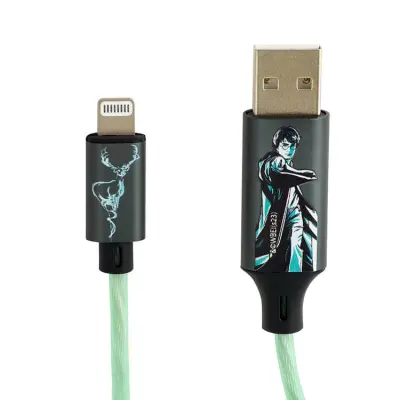 Harry Potter USB A Till Lightning Kabel