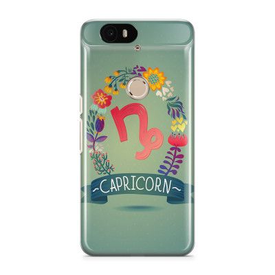 Skal till Nexus 6P - CAPRICORN