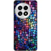 Mobilskal till OnePlus 13 med Disco