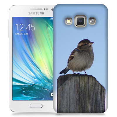 Skal till Samsung Galaxy A3 - Gråsparv