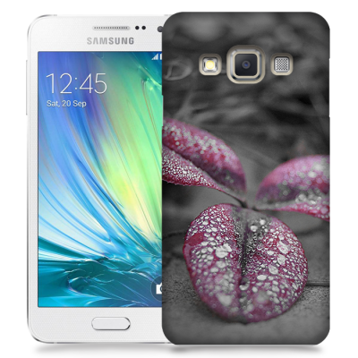 Skal till Samsung Galaxy A3 - Rödbladig klöver
