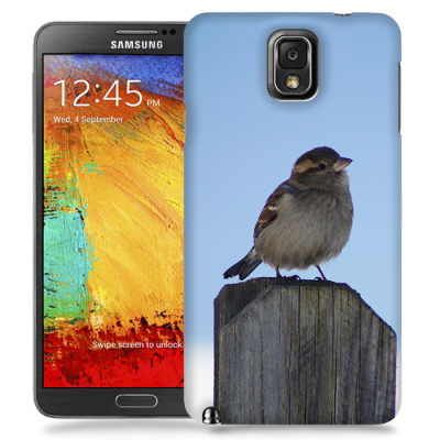 Skal till Samsung Galaxy Note 3 - Gråsparv