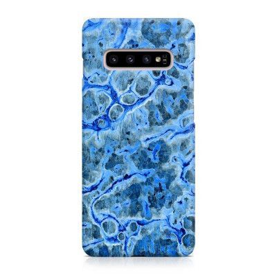 Designer Skal till Samsung Galaxy S10 Plus - Pat2031