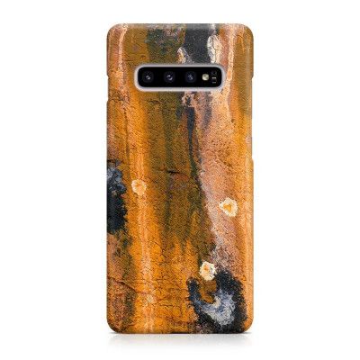 Designer Skal till Samsung Galaxy S10 Plus - Pat2041