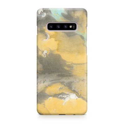Designer Skal till Samsung Galaxy S10 Plus - Pat2186