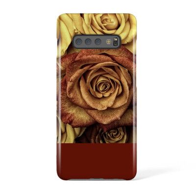 Svenskdesignat mobilskal till Samsung Galaxy S10 Plus - Pat2550