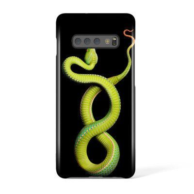 Svenskdesignat mobilskal till Samsung Galaxy S10 Plus - Pat2583