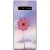 Mobilskal till Samsung Galaxy S10+ med Rosa blomma