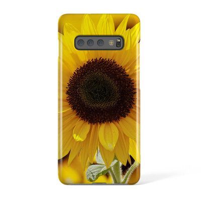 Svenskdesignat mobilskal till Samsung Galaxy S10 - Pat2353
