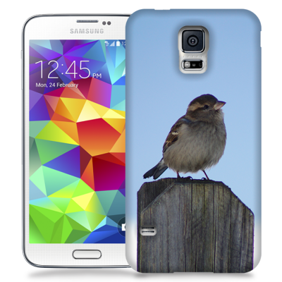 Skal till Samsung Galaxy S5 - Gråsparv