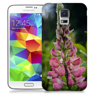Skal till Samsung Galaxy S5 - Lupin