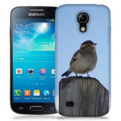 Skal till Samsung Galaxy S5 Mini - Gråsparv