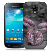 Skal till Samsung Galaxy S5 Mini - Rödbladig klöver