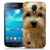 Skal till Samsung Galaxy S5 Mini - Terrier