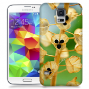Skal till Samsung Galaxy S5 - Pärlhyacint