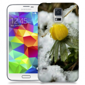 Skal till Samsung Galaxy S5 - Vinterblomma