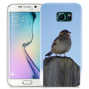 Skal till Samsung Galaxy S6 Edge + - Gråsparv