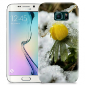 Skal till Samsung Galaxy S6 Edge + - Vinterblomma