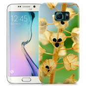 Skal till Samsung Galaxy S6 Edge - Pärlhyacint