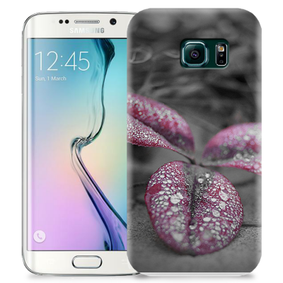 Skal till Samsung Galaxy S6 Edge - Rödbladig klöver