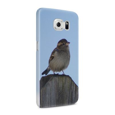 Skal till Samsung Galaxy S6 - Gråsparv