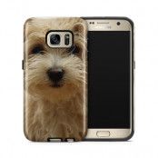 Tough mobilskal till Samsung Galaxy S7 - Terrier
