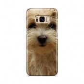 Skal till Samsung Galaxy S8 - Terrier