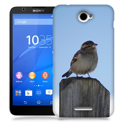 Skal till Sony Xperia E4 - Gråsparv