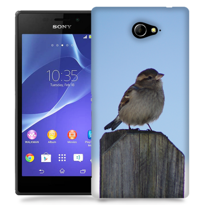 Skal till Sony Xperia M2 - Gråsparv