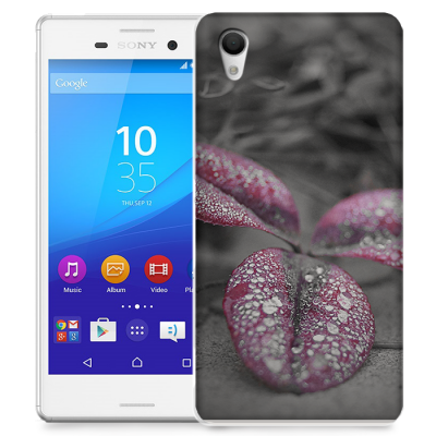 Skal till Sony Xperia M4 Aqua - Rödbladig klöver