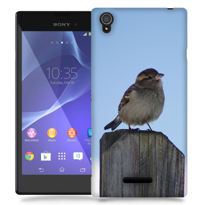 Skal till Sony Xperia T3 - Gråsparv