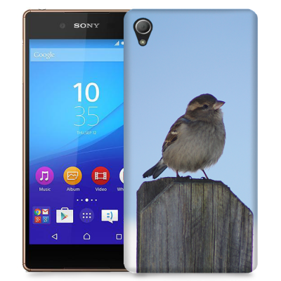 Skal till Sony Xperia Z3+ - Gråsparv